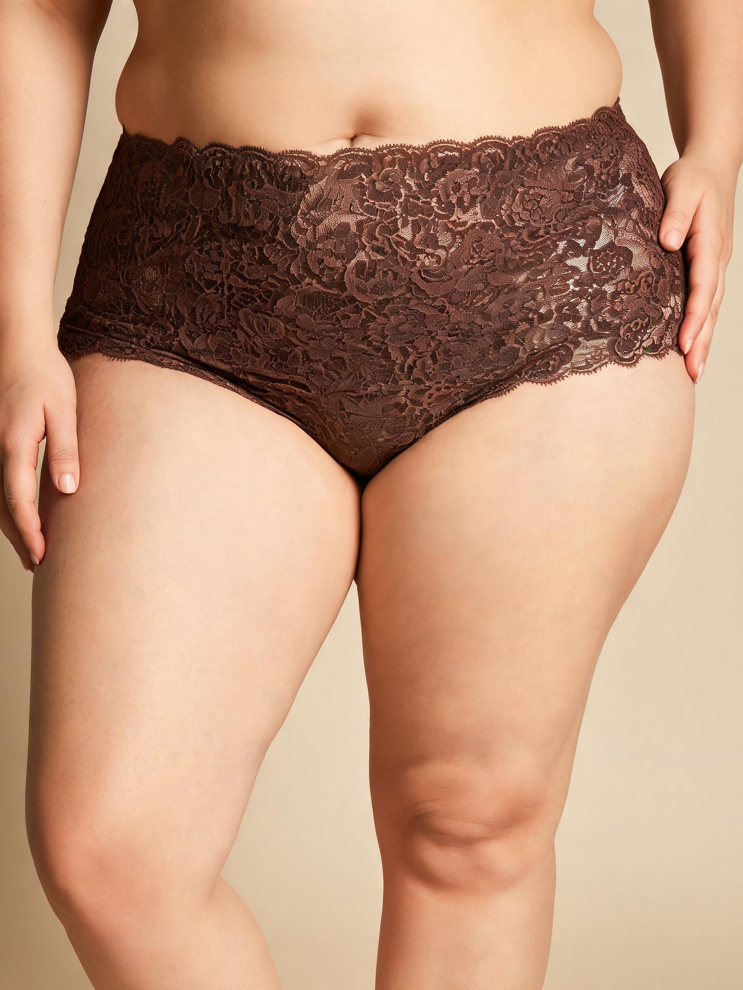 Tummy Control & Butt Lifting High Waist Seamless Lace Briefs