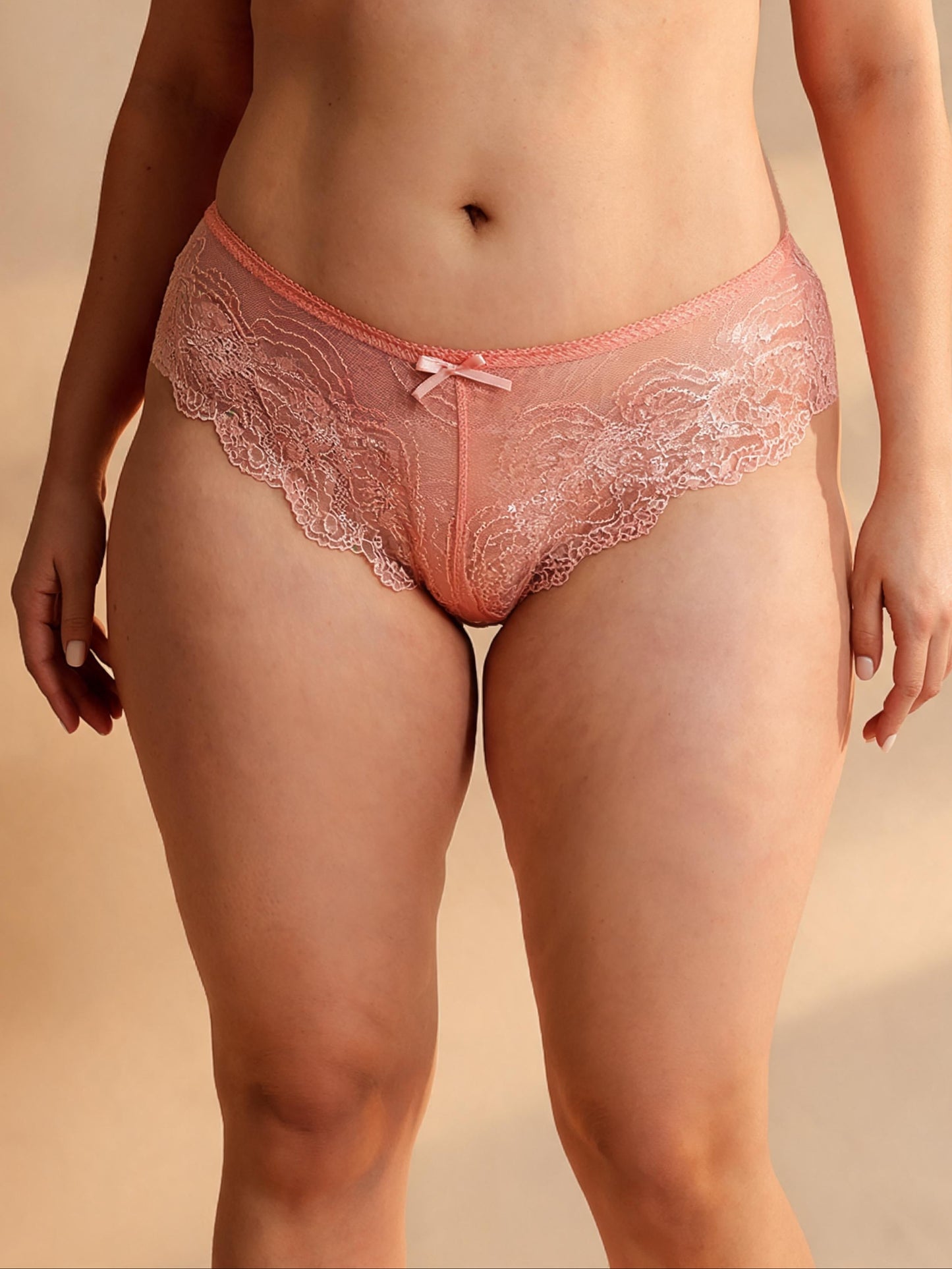 Hollow Out See Through Low Waist Sheer Lace Thong