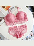 Sculpted Lace Support pink plus size bra and panty set — flat lay